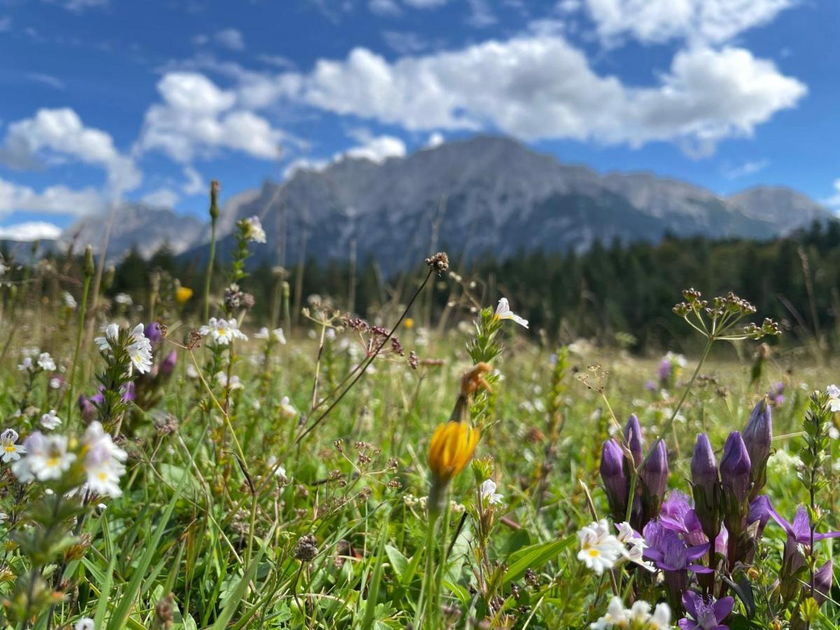 Suite Home Mittenwald Exterior foto